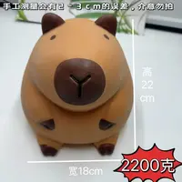 超大卡皮巴拉可爱创意网红卡通水豚TPR软胶回弹解压玩具05