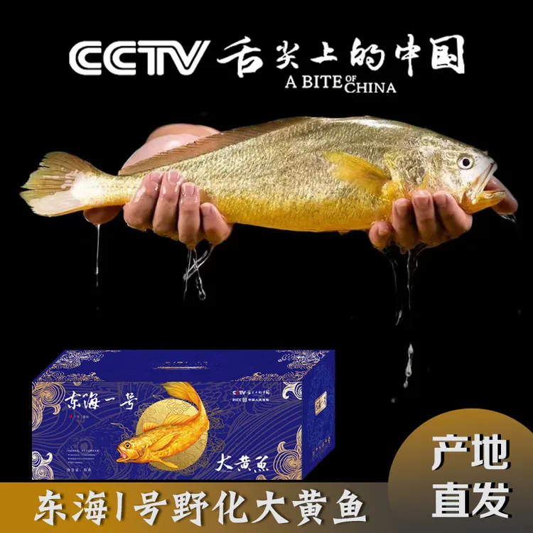 东海一号野化大黄鱼半野生黄花鱼深海捕捞冰鲜水产特产海鲜礼盒装