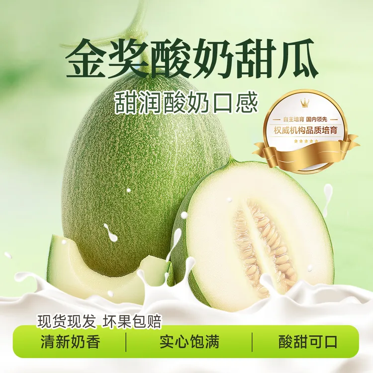 【农科院金奖酸奶甜瓜】新品头茬新鲜现摘甜瓜酸奶乳酸菌风味鲜水果