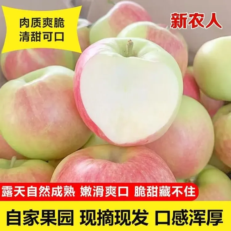 【现货】山西运城新鲜富士青红不分苹果当季应季水果脆爽沙甜多汁  
