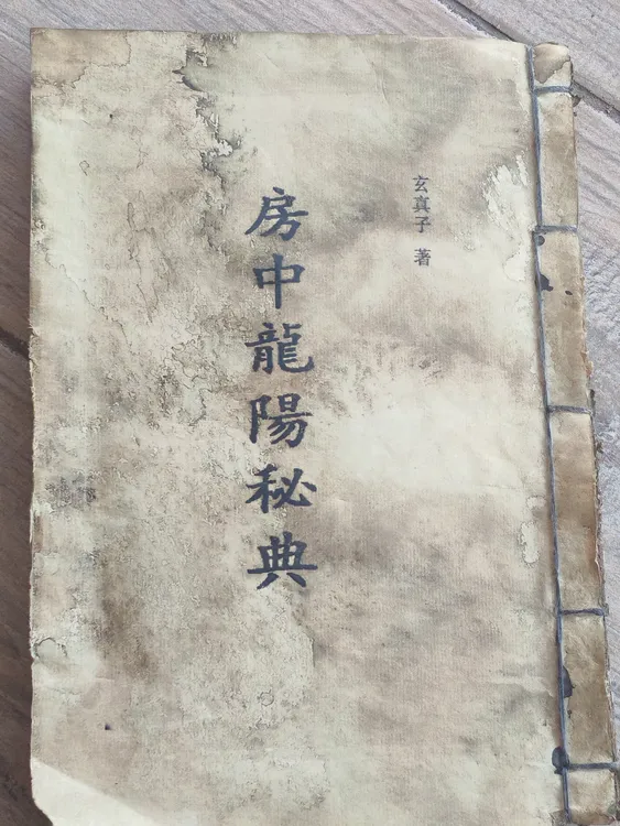 龍陽秘典/电子版本PDF版