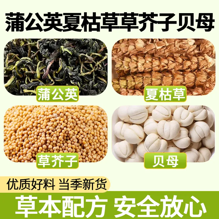 蒲公英夏枯草草芥子贝母正品中药材各6g克泡水喝的功效与作用