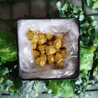 雨腾古茶 Y粒D家Z"大FF"百B聚N环77g/盒 （9月27）
