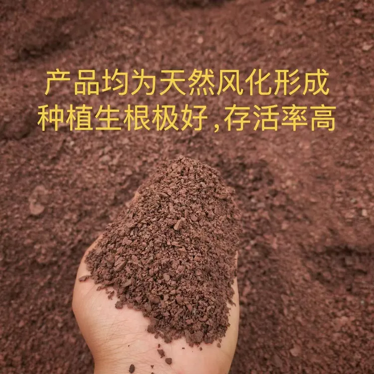 专用土风化竹子土盆景土种植养花土营养打造用品阳台花园花卉
