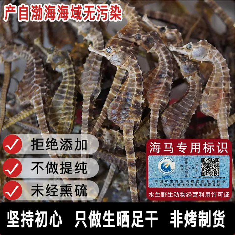 【源头直发】正品保真公母搭配足干海干货马馬适合煲汤泡酒海马干货