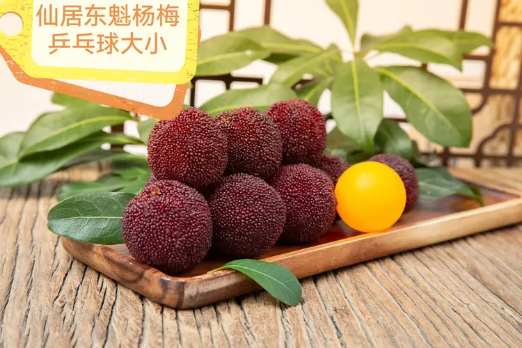 正宗仙居东魁杨梅现摘现发顺丰空运孕妇时令水果
