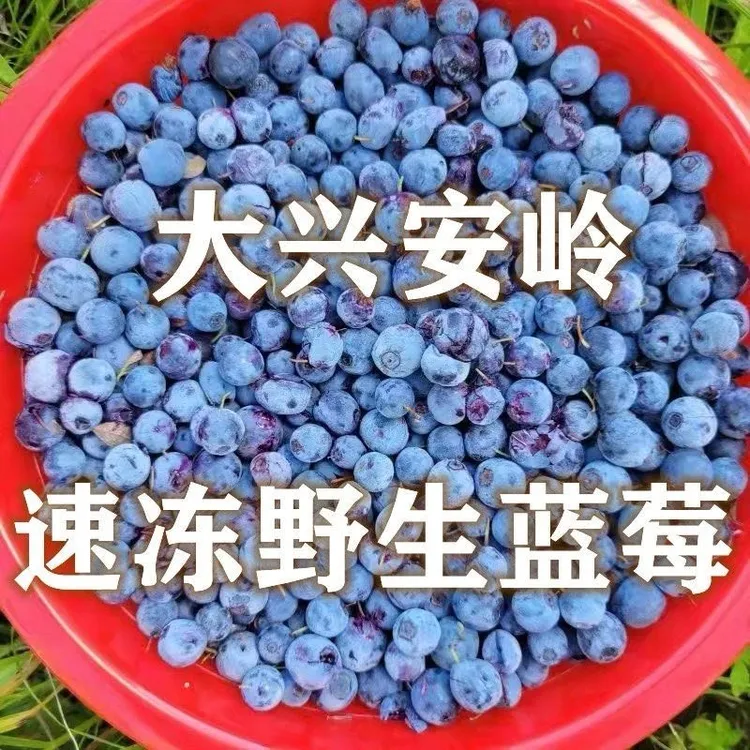 大兴安岭野生蓝莓手摘速冻果冷链运输常温派送