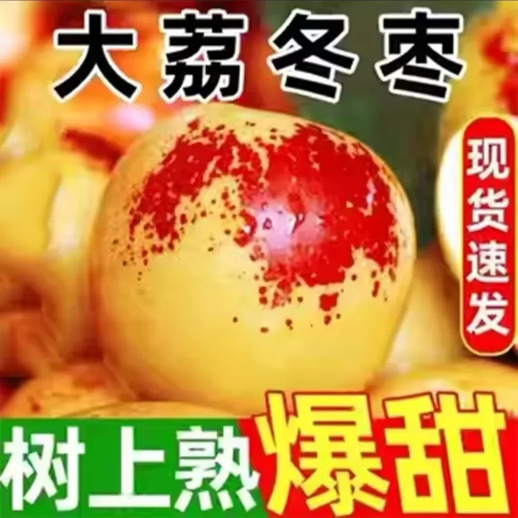 【果臻甜专属】真货正宗大荔冬枣 拒绝假货 果园现摘现发 新鲜水果A