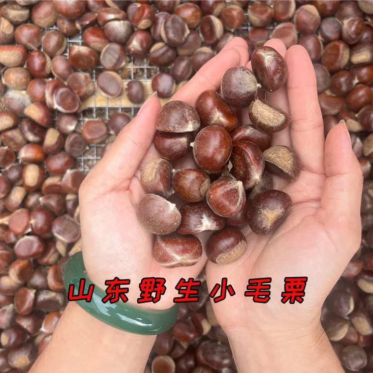 正宗山东板栗小毛栗子油栗子软糯香甜可蒸可炒可生吃黄心好剥皮