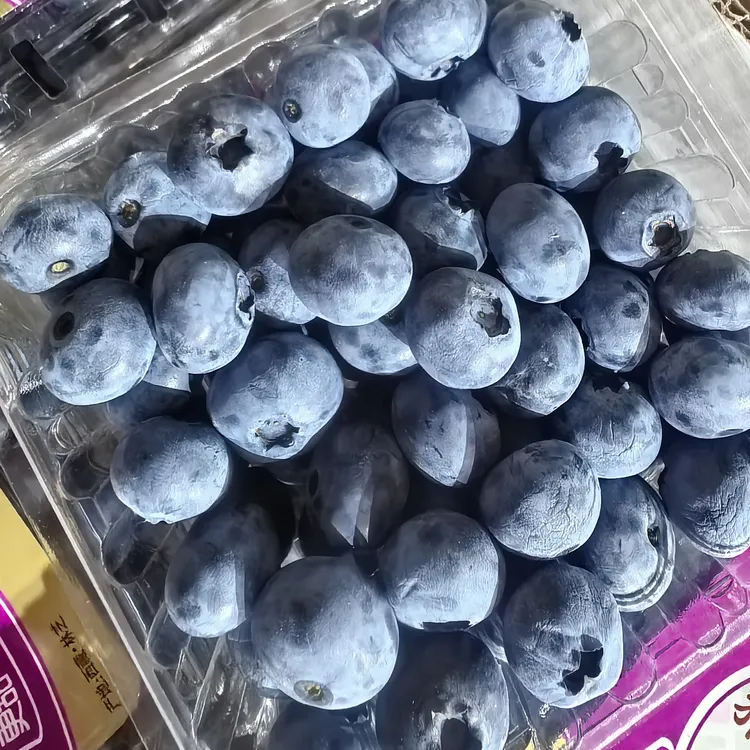 西藏新鲜现摘大蓝莓当季脆甜水果