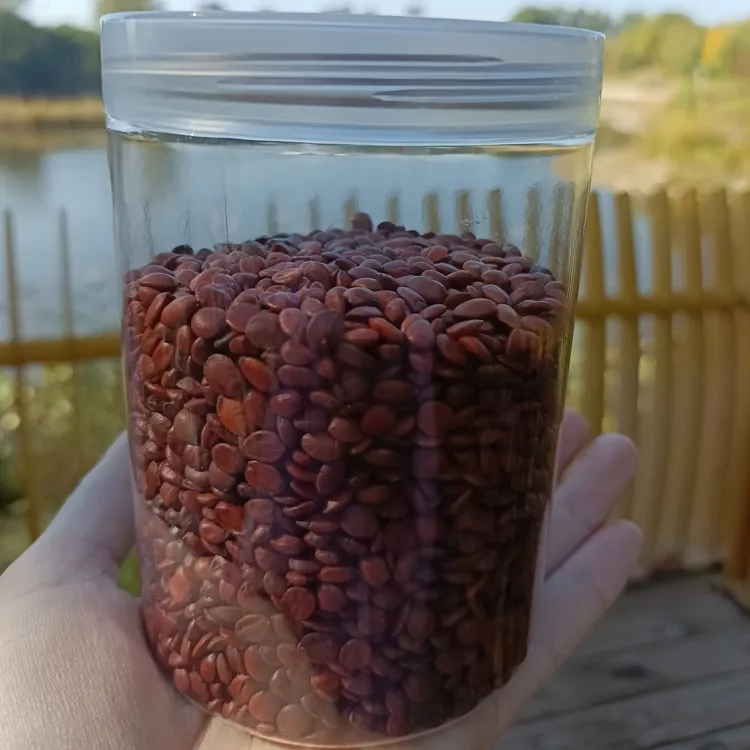 国产生酸枣仁250克189