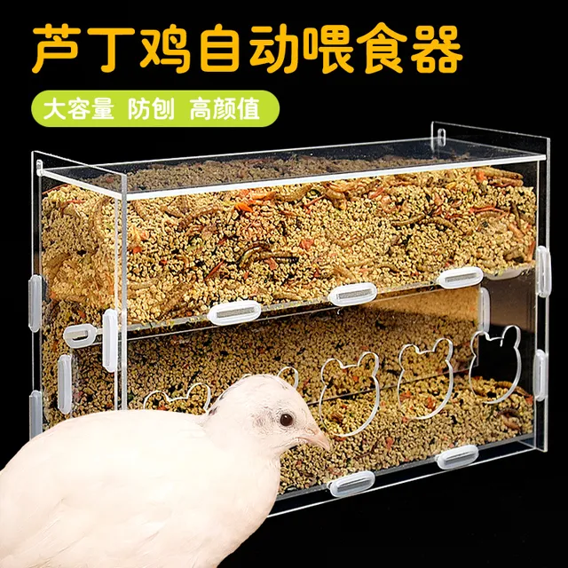 芦丁鸡喂食器小鸡饮水器卢丁鸡鹌鹑食盒育雏饲养饲料造景用品大全