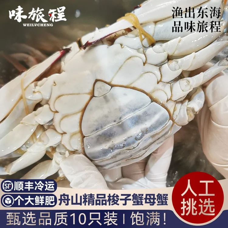【DR】梭子蟹舟山母蟹3-4两10只鲜美螃蟹新鲜海鲜3斤左右飞蟹【冻蟹】