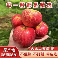 【10斤整箱】正宗四川大凉山特大甜蜜新鲜水果现摘现发冰糖心丑苹果