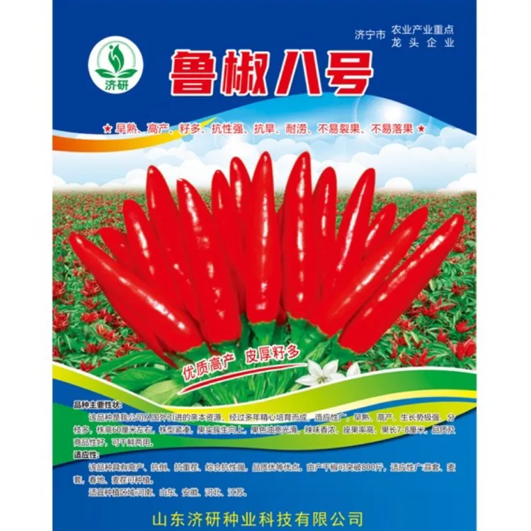 鲁椒8号簇生高产三樱椒
