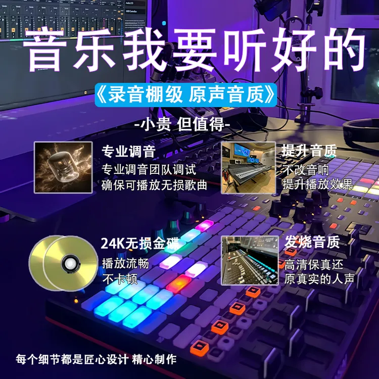 2025正版车用音乐U盘抖音伤感流行歌曲无损音质车载U盘歌曲环绕