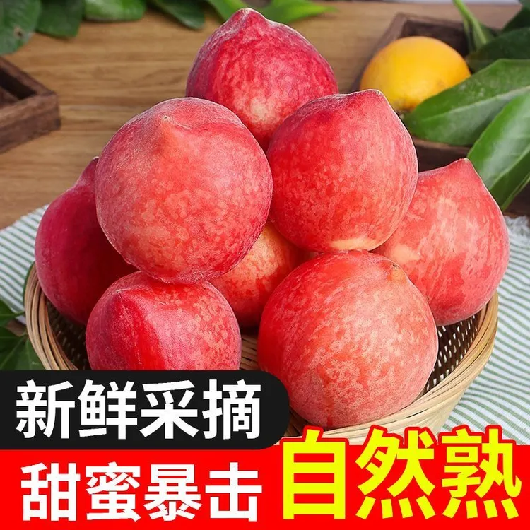 顺丰包邮硬桃脆桃现摘现发脆甜多汁孕妇儿童应季时令当季桃子