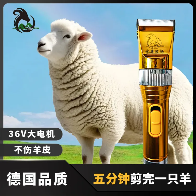 永康大功率羊毛剪电推子适用牛羊猫狗畜牧剪毛器