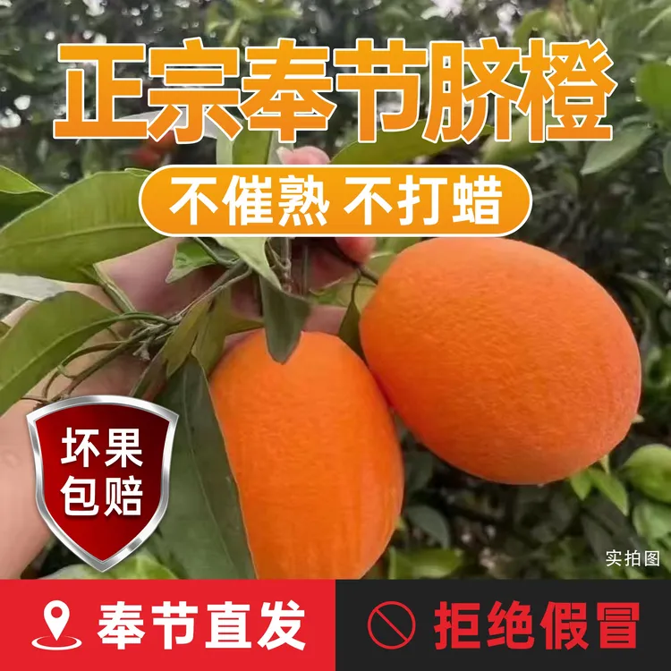 正宗奉节脐橙长虹品种新鲜采摘皮薄肉厚鲜嫩化渣5/10斤