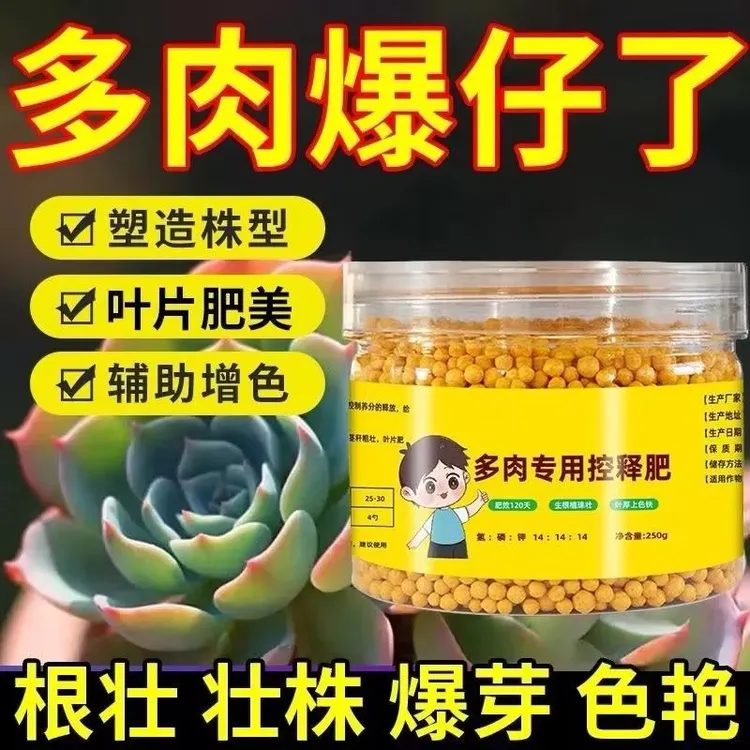 多肉肥料专用肥多肉控释肥爆盆增肥增色多肉营养液家用多肉专用肥