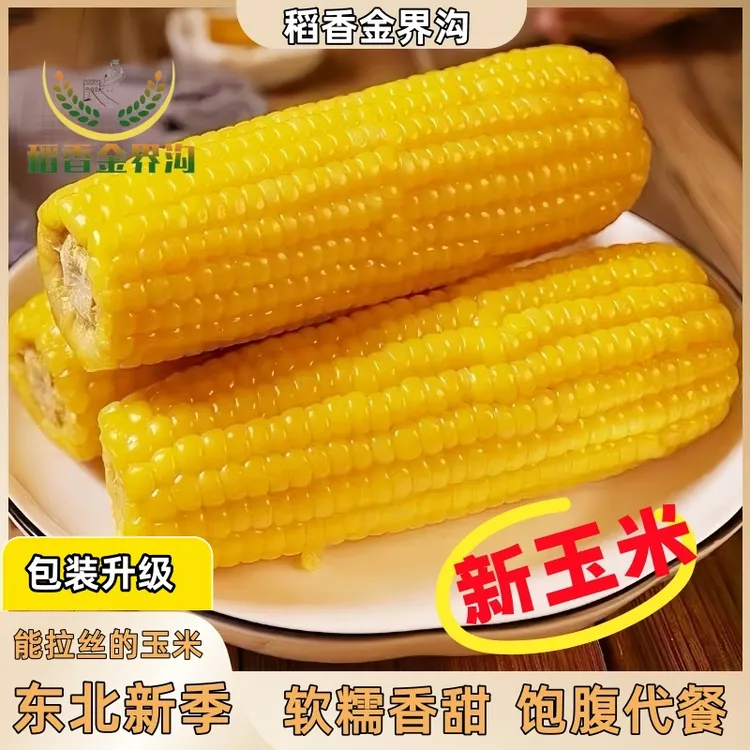 【稻香金界沟】2025新季黄糯玉米单根250g*10根香甜软糯饱腹代餐黏