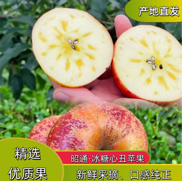【云南昭通】精选冰糖心丑苹果昭通苹果脆甜冰糖心苹果产地直发！