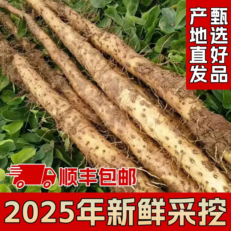 2025年霜降新鲜采挖！正宗温县垆土铁棍山药5斤装