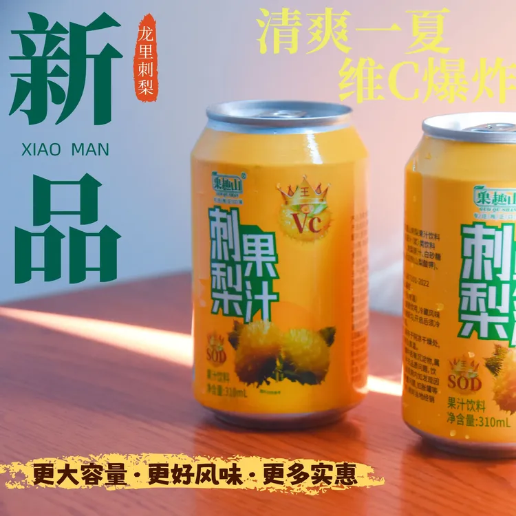【新装上市24罐】果趣山贵州 特色刺梨果汁饮料310ml罐装整箱