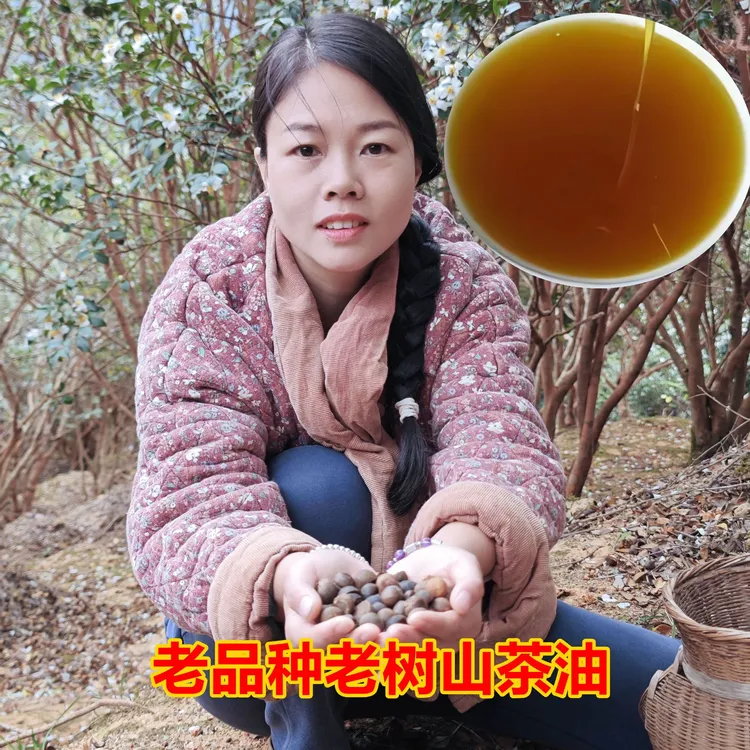 三嫂家正宗老品种老树山茶油 土榨低温冷榨山茶油 食用油 月子油