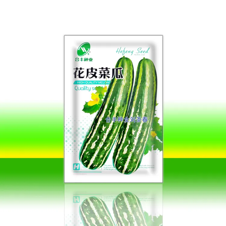 花皮菜瓜种子酱瓜专用品种凉拌炒食也可爬地种植吊蔓栽培均可