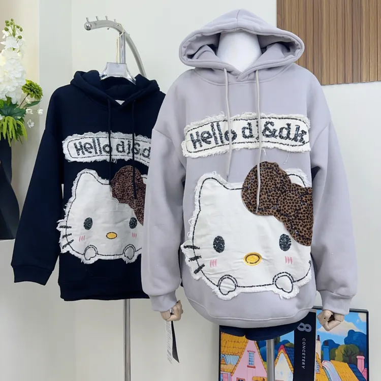 （3220/3221）y2025新款秋冬刺绣连帽加绒卫衣女韩版宽松显瘦上衣