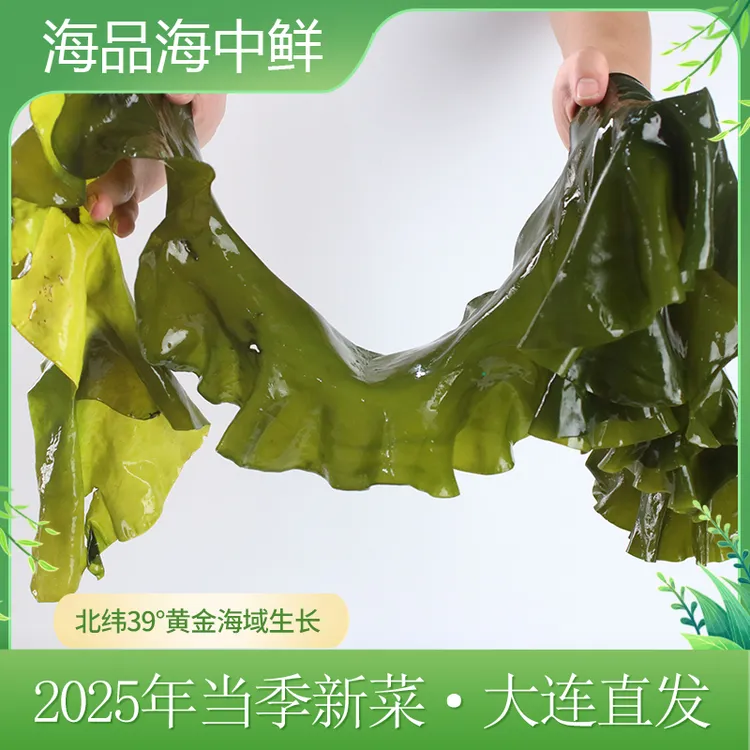 海品海中鲜-整颗盐渍海带带箱五斤 