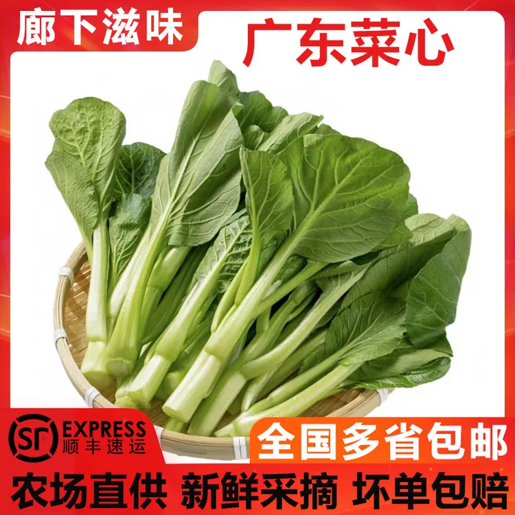 廊下滋味广东菜心1500g-2500g 农家自种甜菜心菜广东菜心当季蔬菜