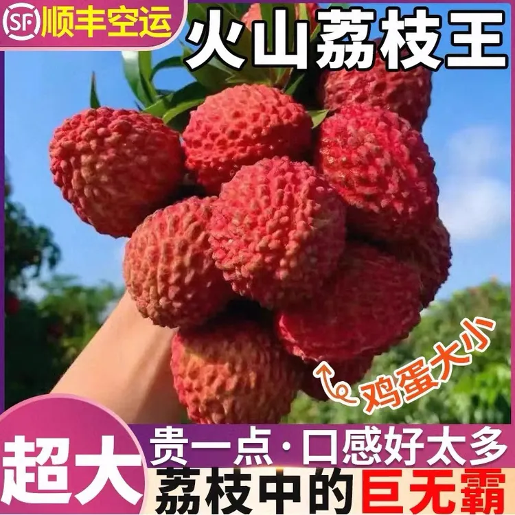 海南品种荔枝王巨大果当季新鲜水果顺丰空运鲜甜多汁整箱包邮桂味