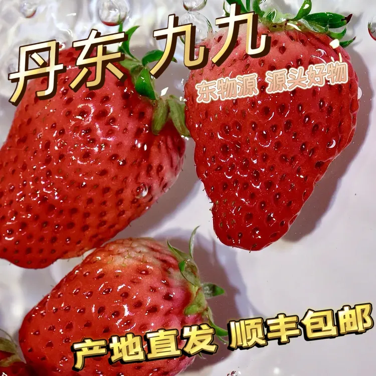 丹东九九红颜草莓奶油新鲜现摘香甜饱满核心产区顺丰空运
