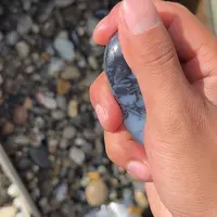 圆润饱满无瑕疵的