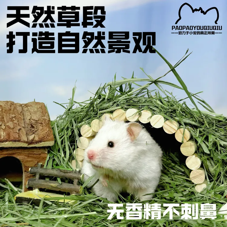 泡泡有球球 草香足！可以吃！烘干新鲜提摩西草垫料仓鼠金丝熊龙猫