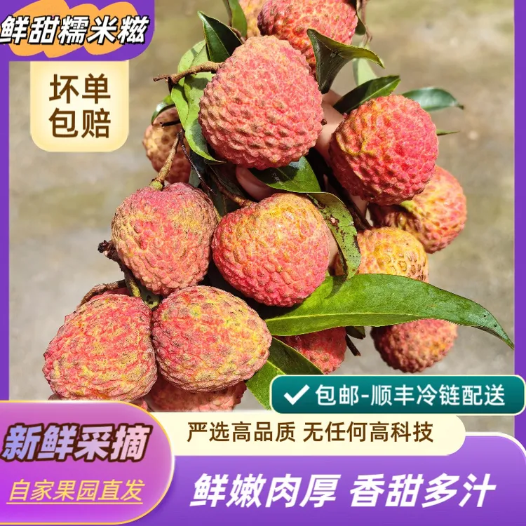 新鲜现摘当季水果糯米糍王荔枝水果皮薄肉厚香甜可口核小