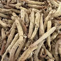 【长白山高丽籽】新鲜出炉原产地直发
