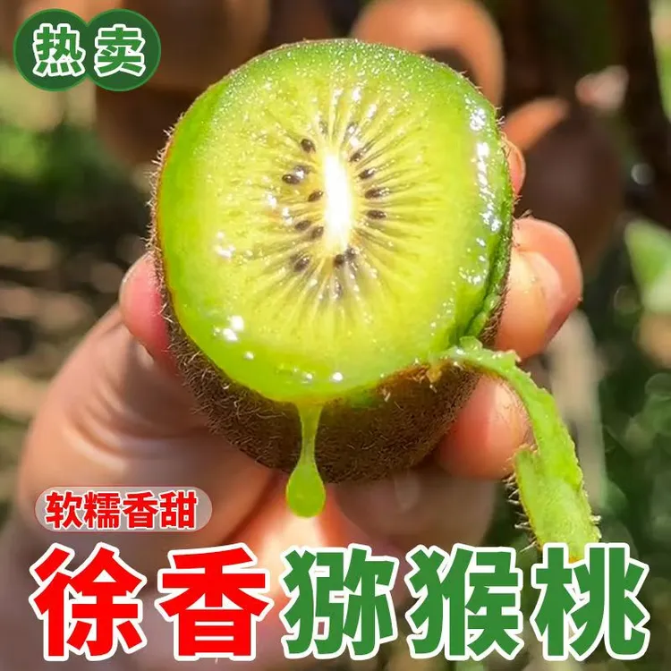 正宗徐香猕猴桃陕西眉县新鲜水果当季绿心弥猴桃奇异果 