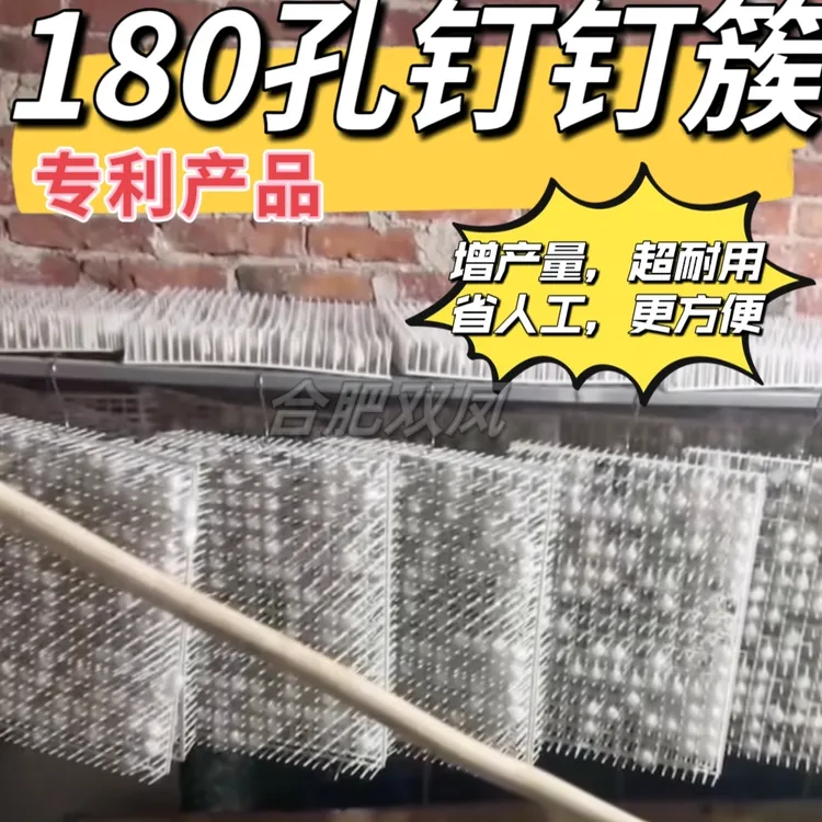 180孔钉钉簇摘茧结茧网蚕吐丝塑料方格丁丁簇养蚕工具钉钉簇