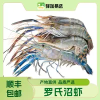 【小胖专属】生冻罗氏沼虾，16/20规格大虾，顺丰包邮