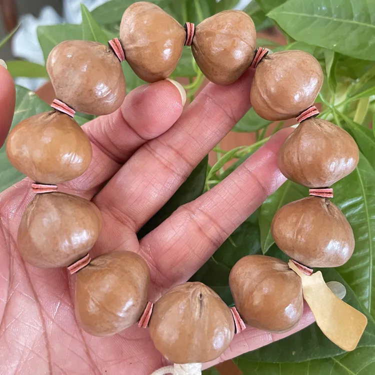 橄榄核手串铁核素核22×20大尺寸三花手串。