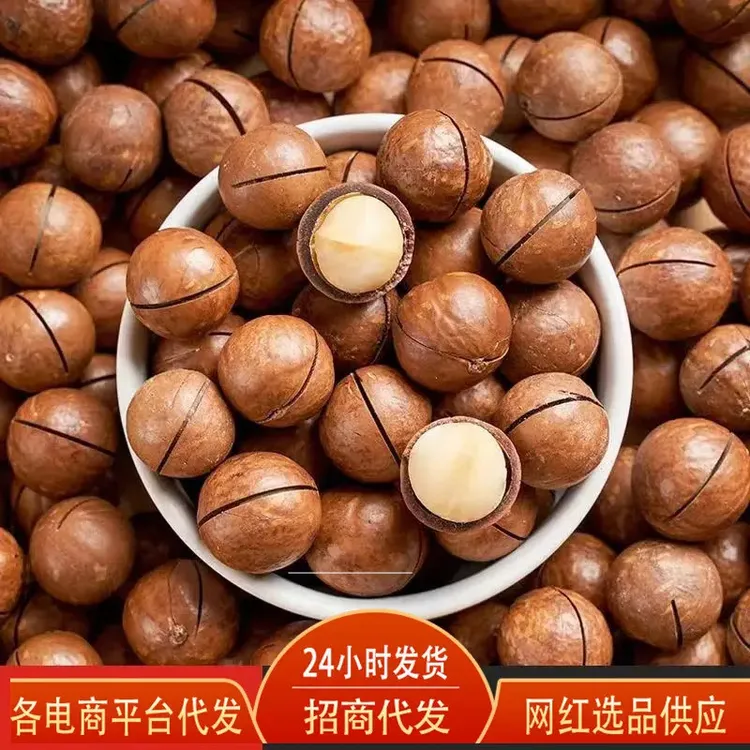 新疆西藏包邮夏威夷果薄皮奶油味坚果500g手剥大颗开口夏威夷果