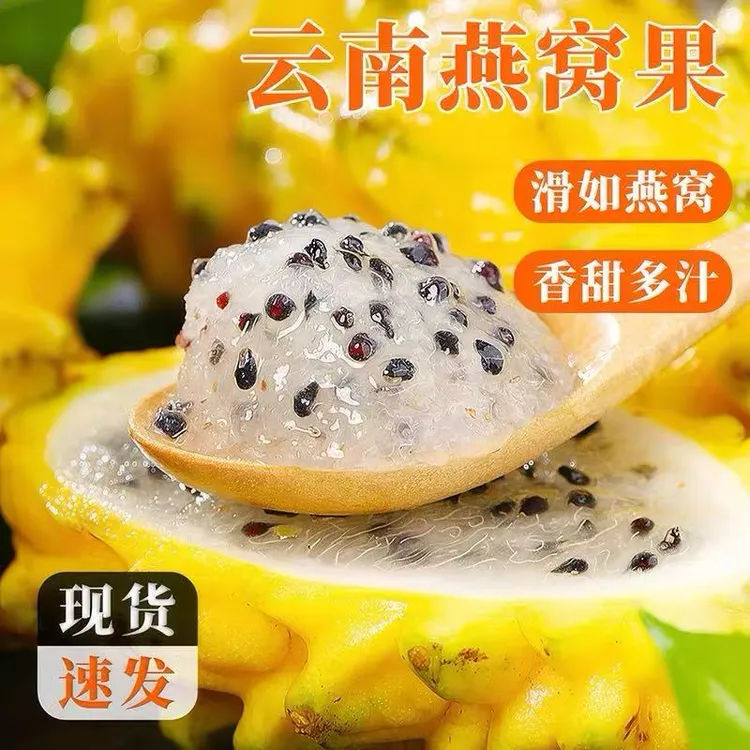 云南燕窝果新鲜麒麟果当季热带黄色水果黄皮白心超大燕窝果火龙果