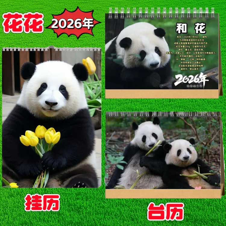 大熊猫花花2026年台历挂历熊猫和花和叶周边桌面摆件照片纪念礼品