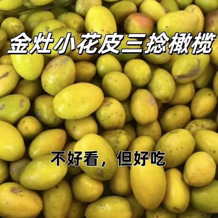 潮汕金灶老树三捻橄榄现摘酥脆生吃甘香微花皮青橄榄果正宗特产