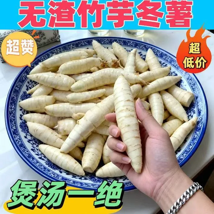 2025广东当季竹芋冬薯现挖农家新鲜竹薯凉粉自种煲汤竹根火锅食材