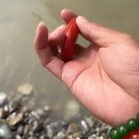 未镶嵌和田玉（糖玉）车挂
