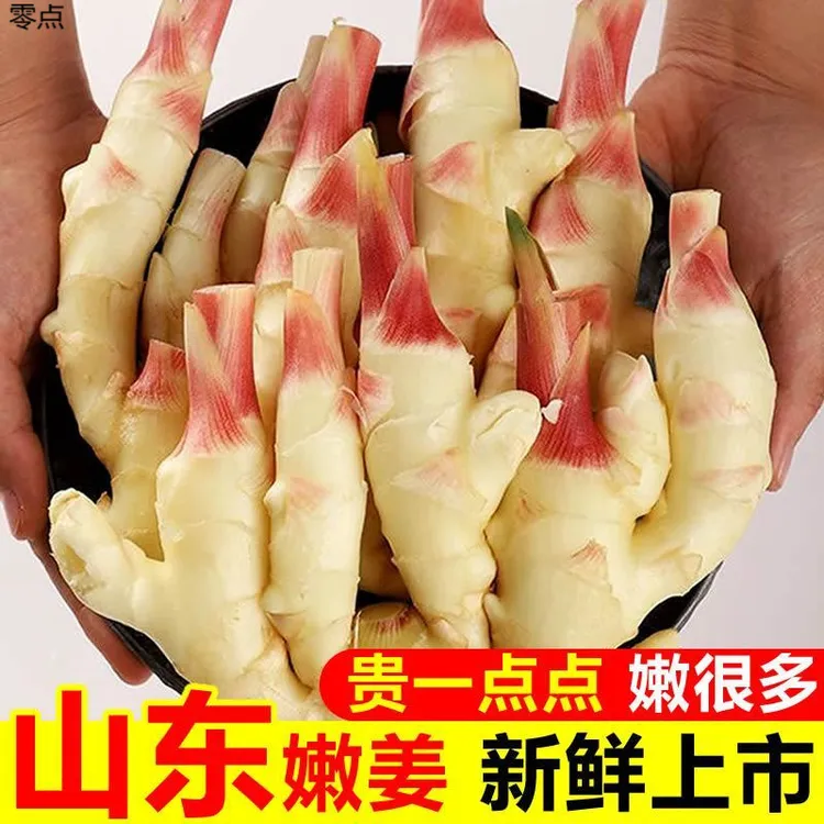 生姜新鲜嫩姜仔姜农家特级自种红芽姜子姜鲜姜农家嫩生姜腌制姜